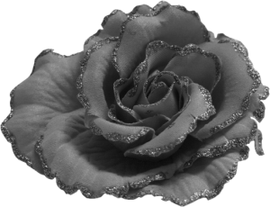rose black